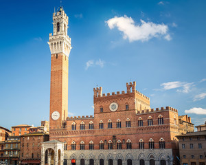 Fototapeta na wymiar Torre del Mangia w Sienie