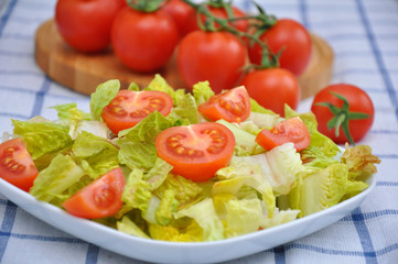 Grüner Salat mit Tomaten