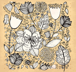 Obrazy  Wektor ręcznie rysowane ilustracja z kwiatami