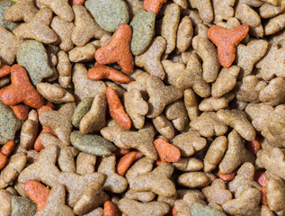 Dry cat food, background.