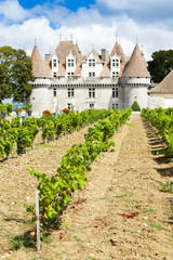 Fototapeta na wymiar Monbazillac Zamek z winnicy, Akwitania, Francja