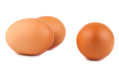 Three brown chicken eggs