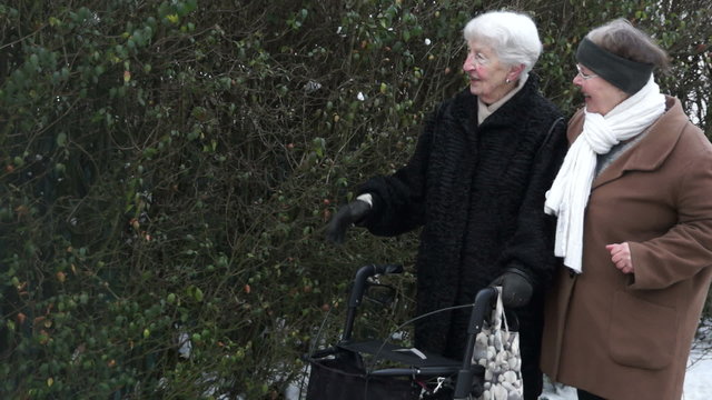 Senior walking with Assistance