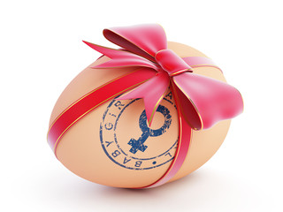 baby girl egg gift with bow on a white background