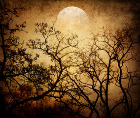 grunge image of moon landscape
