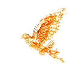 flame flying dove on white