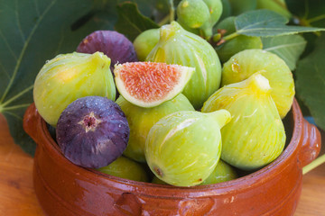 Figs