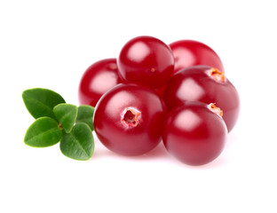 Ripe cranberry in closeup
