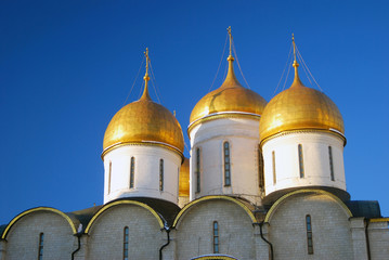 Assumption church in winter. Moscow Kremlin.