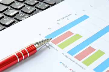 business graph and a red pen on computer