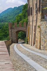 Alleyway. Castell'Arquato. Emilia-Romagna. Italy.