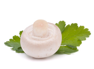 Champignon mushroom and parsley leaves