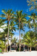 Fototapeta na wymiar tropical beach with palm trees, sunchairs and bungalows, Thailand, blue sky