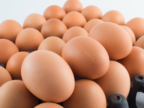 Eggs in panel