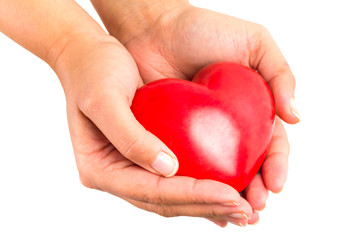 Heart in hands as love and health symbol