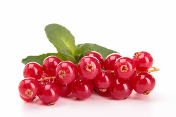 isolated redcurrant
