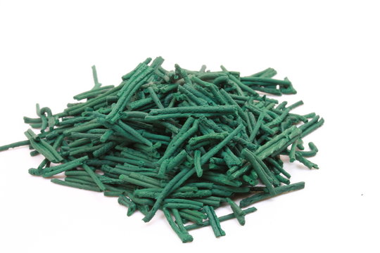 spiruline verte en b&acirc;tonnet 