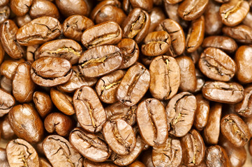 Chicchi di caffè - Coffee beans