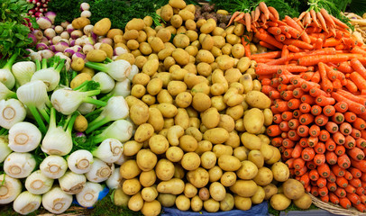 Fresh tasty vegetables in a shop