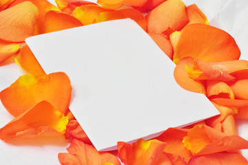 Sheet of white paper on orange rose petals, romantic greeting ca