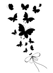 butterfly,butterflies vector