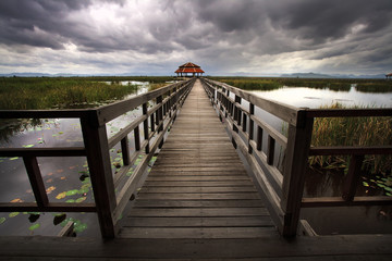 Wooden Bridge in lotus lake at khao sam roi yod national park