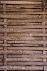 bamboo background.