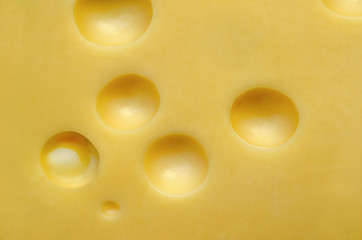 Swiss cheese