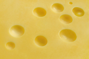 Swiss cheese