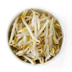 Bean Sprouts Isolated