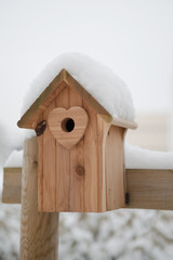 Birdhouse under the snow