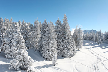 Paysage de montagne en hiver