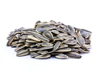 sun flower bean  on white background