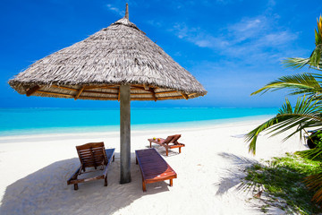 Holiday Paradise