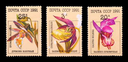 Postage stamp