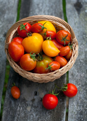 basket with tomatoes on wooden table