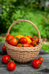 basket with tomatoes on wooden table