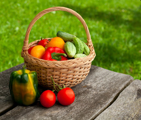 basket of vegetables on wooden garden table