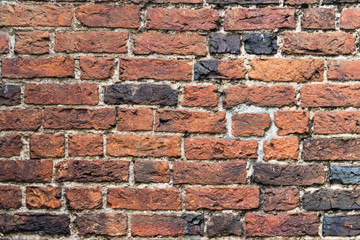 Fototapeta Brick wall background obraz
