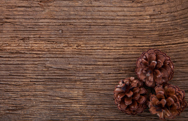 Dekorative Holztextur mit Tannenzapfen