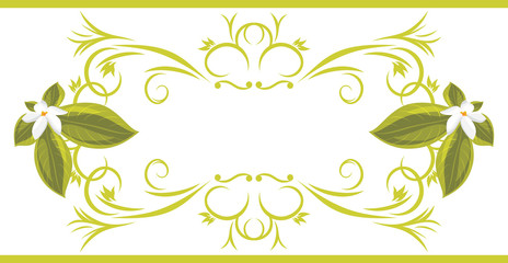 Ornamental frame with white flowers