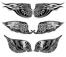 Set of wings