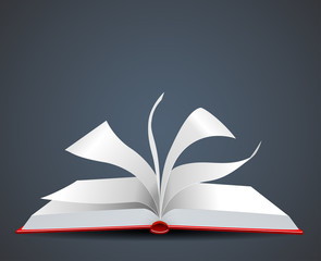 Vector Illustration of an open Book