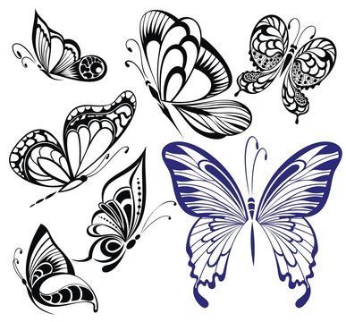 Collection black and white butterflies.Tattoo design