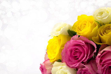 Roses with diffused background.