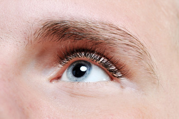 Fototapeta na wymiar Male eye close-up