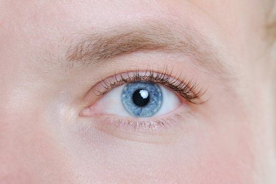 Male eye close-up