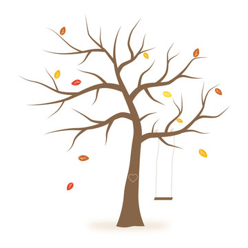 Baum im Herbst