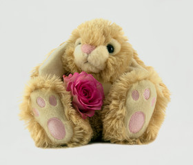 Fluffy Bunny with pink rose.