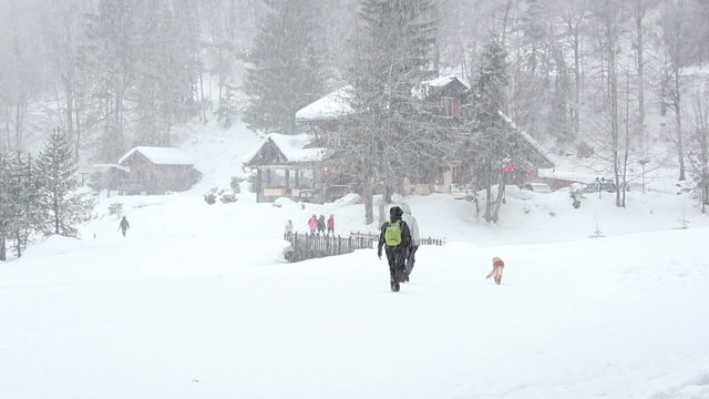 Schneespaziergang mit Hund